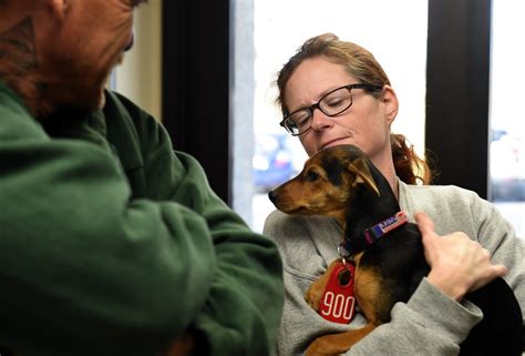 Devore shelter - Jul 13, 2013 · DEVORE — Nearly 100 dogs have received a third chance at life after rescue groups across the West converged on the San Bernardino County Animal Shelter here, but 40 were still waiting to be ... 
